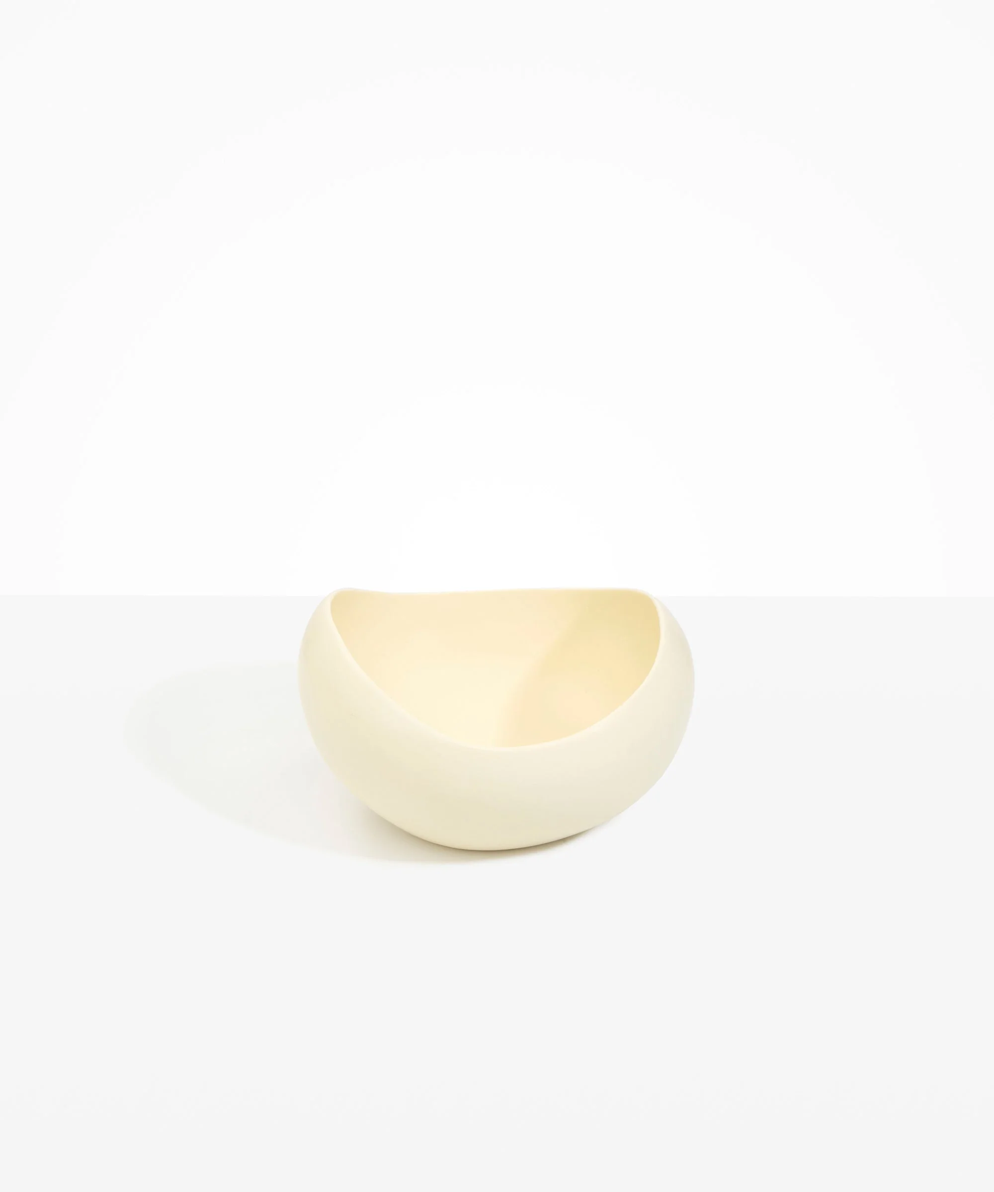Large Beetle Bowl